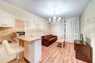 Апартаменты Apartments near Ocean Plaza Киев Апартаменты с 1 спальней-2