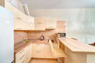 Апартаменты Apartments near Ocean Plaza Киев Апартаменты с 1 спальней-6